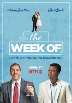 "The Week Of" (2018) WEBRip.x264-STRiFE