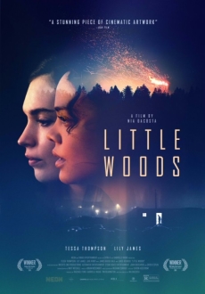 "Little Woods" (2018) DVDRip.x264-LPD