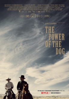 "The Power of the Dog" (2022) BDRip.x264-PiGNUS