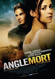 "Angle Mort" (2011) PL.HDTV.XViD-PSiG