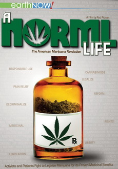 "A Norml Life" (2011) DVDRip.XviD-SPRiNTER