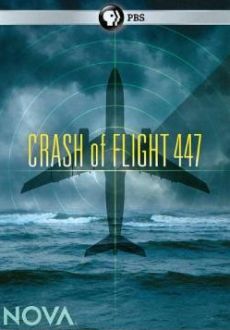 "NOVA: Crash of Flight 447" (2011) DVDRip.x264-BiQ