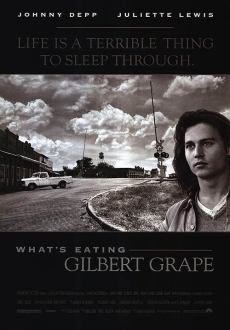 "What's Eating Gilbert Grape" (1993) BRRip.XviD.MP3-XVID