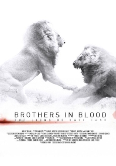 "The Lions of Sabi Sand: Brothers in Blood" (2015) WEB-DL.x264-RARBG