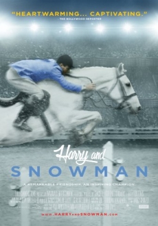 "Harry and Snowman" (2015) LiMiTED.DVDRip.x264-LPD