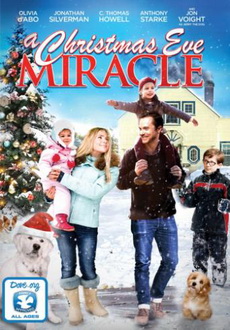 "A Christmas Eve Miracle" (2015) DVDRip.XviD-EVO