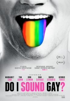 "Do I Sound Gay?" (2014) LIMITED.DVDRip.x264-RedBlade