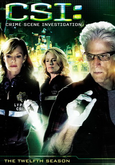"CSI: Crime Scene Investigation" [S12] DVDRip.XviD-DEMAND