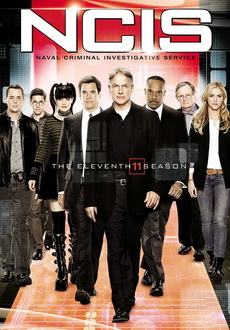 "NCIS: Naval Criminal Investigative Service" [S11] DVDRip.x264-DEMAND