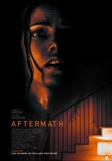 "Aftermath" (2021) HDRip.XviD.AC3-EVO