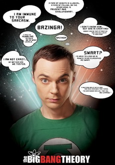 "The Big Bang Theory" [S06E23] HDTV.x264-LOL