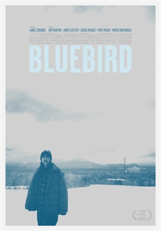 "Bluebird" (2013) PL.DVDRip.x264-PTRG