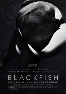 "Blackfish" (2013) LIMITED.DOCU.DVDRip.XviD-TARGET