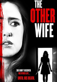 "The Other Wife" (2016) HDRip.XviD.AC3-EVO