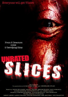 "Slices" (2008) DVDRip.XviD-VH-PROD