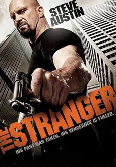 "The Stranger" (2010) PL.480p.BRRip.XviD.AC3-BiDA 