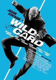 "Wild Card" (2014) PL.DVDRip.x264-PTRG