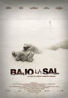 "Under The Salt" (2008) DVDRip.XviD-LAP