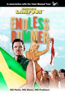 "Endless Bummer" (2009) DVDRip.XviD-VoMiT