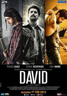 "David" (2013) DVDRiP.XviD-D3Si