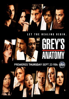 "Grey's Anatomy" [S07E17] HDTV.XviD-LOL