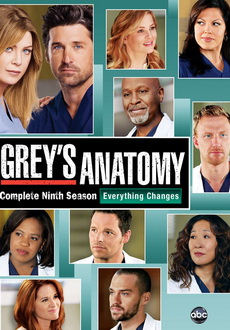 "Grey's Anatomy" [S09] DVDRip.X264-DEMAND