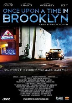 "Once Upon a Time in Brooklyn" (2013) DVDRip.XviD-SPRiNTER