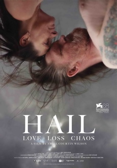 "Hail" (2011) DVDRip.XviD-aAF