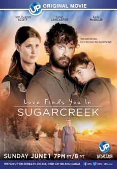 "Love Finds You In Sugarcreek" (2014) HDTV.XviD-NoGRP