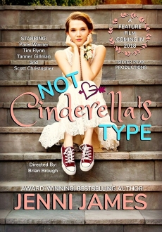 "Not Cinderella's Type" (2018) WEBRip.x264-ION10