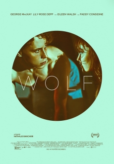 "Wolf" (2021) BDRip.x264-SCARE