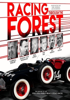 "Racing Through the Forest" (2016) WEBRip.x264-ION10