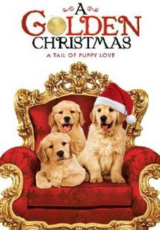 "A Golden Christmas" (2009) STV.DVDRip.XviD-Kata 