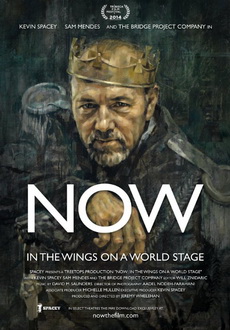 "NOW: In the Wings on a World Stage" (2014) LIMITED.DVDRiP.X264-TASTE