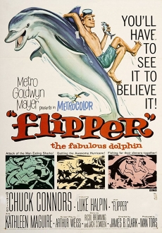 "Flipper" (1963) iNTERNAL.HDTV.x264-REGRET