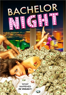 "Bachelor Night" (2014) BDRip.x264-GUACAMOLE