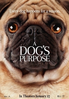 "A Dog's Purpose" (2017) WEB-DL.x264-FGT