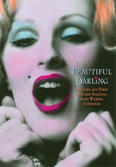 "Beautiful Darling" (2010) DVDRip.x264-BiPOLAR