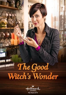 "The Good Witch's Wonder" (2014) DVDRip.x264-REGRET