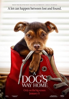 "A Dog's Way Home" (2019) WEB-DL.x264-FGT