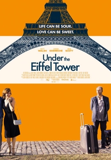 "Under the Eiffel Tower" (2018) WEB-DL.x264-FGT