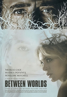 "Between Worlds" (2018) BDRip.x264-PSYCHD