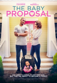 "The Baby Proposal" (2019) DVDRip.x264-PFa