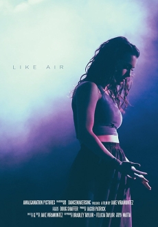 "Like Air" (2015) WEBRip.x264-ION10