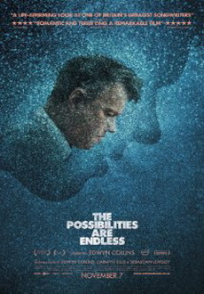 "The Possibilities Are Endless" (2014) DVDRiP.X264-TASTE