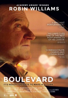 "Boulevard" (2014) LIMITED.BDRip.x264-DRONES