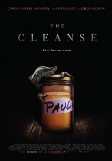 "The Cleanse" (2016) HDRip.AC3.x264-CMRG