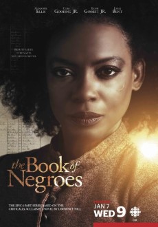 "The Book of Negroes" [S01] DVDRip.x264-NoRBiT