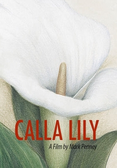 "Calla Lily" (2015) WEBRip.x264-iNTENSO