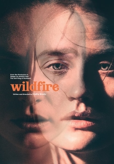 "Wildfire" (2020) HDRip.XviD.AC3-EVO